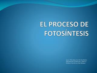 EL PROCESO DE FOTOSÍNTESIS