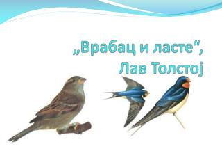 „Врабац и ласте“, Лав Толстој