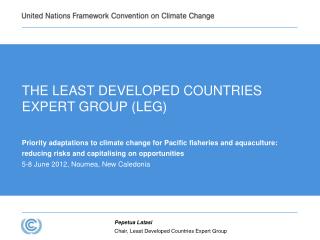 THE LEAST DEVELOPED COUNTRIES EXPERT GROUP (LEG)