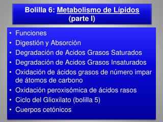 Bolilla 6: Metabolismo de Lípidos (parte I)