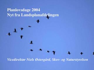 Planlovsdage 2004 Nyt fra Landsplanafdelingen