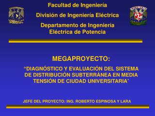 Facultad de Ingeniería División de Ingeniería Eléctrica