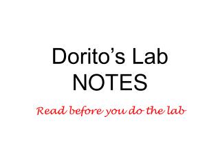 Dorito’s Lab NOTES