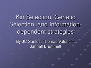 Kin Selection, Genetic Selection, and Information-dependent strategies