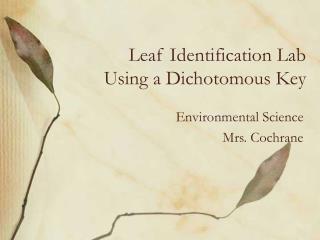 Leaf Identification Lab Using a Dichotomous Key