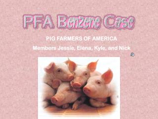 PIG FARMERS OF AMERICA Members Jessie, Elena, Kyle, and Nick