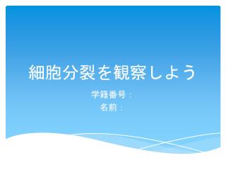 細胞分裂を観察しよう