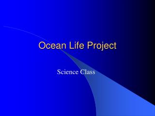 Ocean Life Project