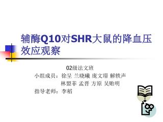 辅酶 Q10 对 SHR 大鼠的降血压效应观察