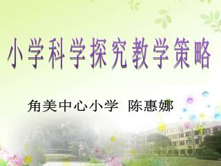 小学科学探究教学策略