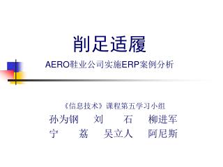 削足适履 AERO 鞋业公司实施 ERP 案例分析