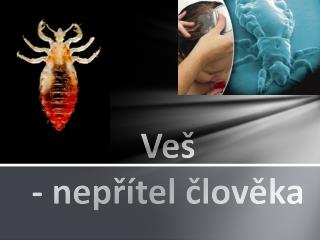 Veš - nepřítel člověka