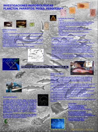 INVESTIGACIONES HIDROBIOLÓGICAS PLANCTON, PARÁSITOS, PECES, PESQUERÍAS.