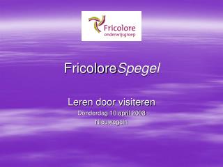 Fricolore Spegel