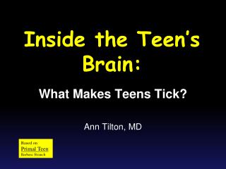 Inside the Teen’s Brain: