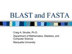 BLAST and FASTA