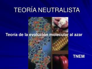 TEORÍA NEUTRALISTA