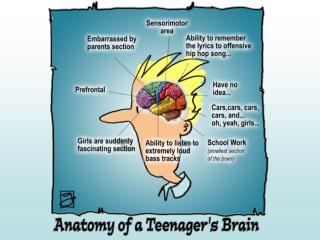 What do I know about my brain? Answer True or False