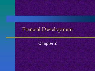 Prenatal Development