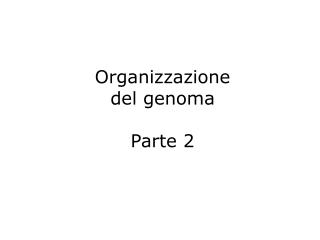 Organizzazione del genoma Parte 2