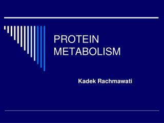 PROTEIN METABOLISM