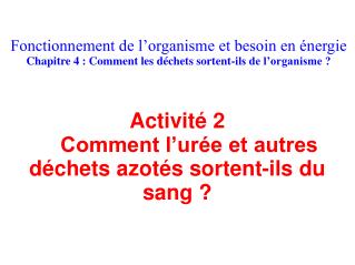 Fonctionnement de l’organisme et besoin en énergie