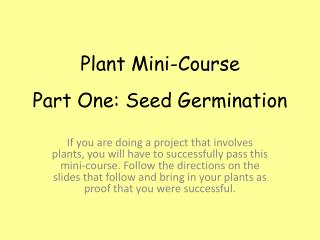 Part One: Seed Germination