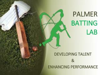 PALMER BATTING LAB