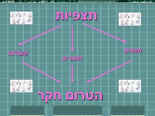 תצפיות