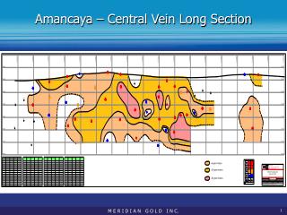 Amancaya – Central Vein Long Section