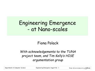 Engineering Emergence - at Nano-scales