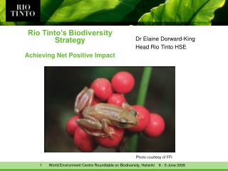 Rio Tinto’s Biodiversity Strategy Achieving Net Positive Impact