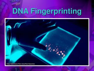 DNA Fingerprinting