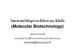 วิทยาศาสตร์พันธุกรรม ดีเอ็นเอ และ จีเอ็มโอ (Molecular Biotechnology)