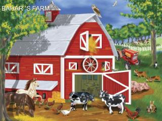 BAHAR ’S FARM