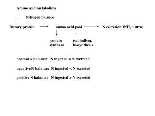 Amino acid metabolism ·        Nitrogen balance 		 protein 	 catabolism,