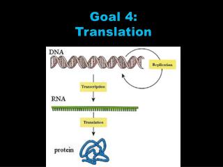 Goal 4 : Translation