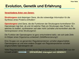 Evolution, Genetik und Erfahrung