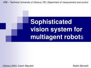 Sophisticated vision system for multiagent robot s