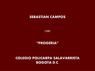 SEBASTIAN CAMPOS