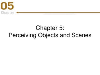 Chapter 5: Perceiving Objects and Scenes