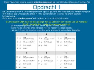 Opdracht 1