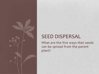 Seed Dispersal