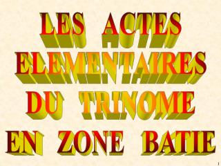 LES ACTES ELEMENTAIRES DU TRINOME EN ZONE BATIE