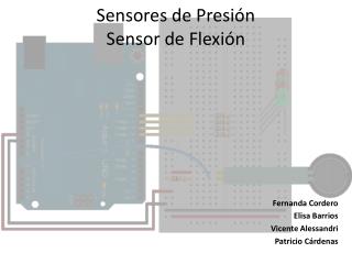 Sensores de Presión Sensor de Flexión