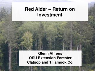 Red Alder – Return on Investment