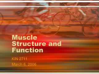 Muscle Structure and Function