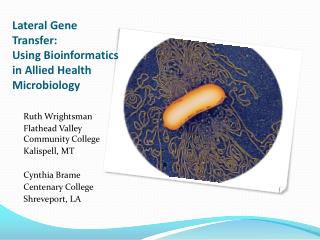 Lateral Gene Transfer: Using Bioinformatics in Allied Health Microbiology