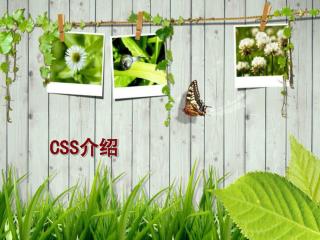 CSS 介绍