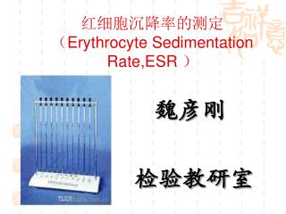 红细胞沉降率的测定 （ Erythrocyte Sedimentation Rate,ESR ）